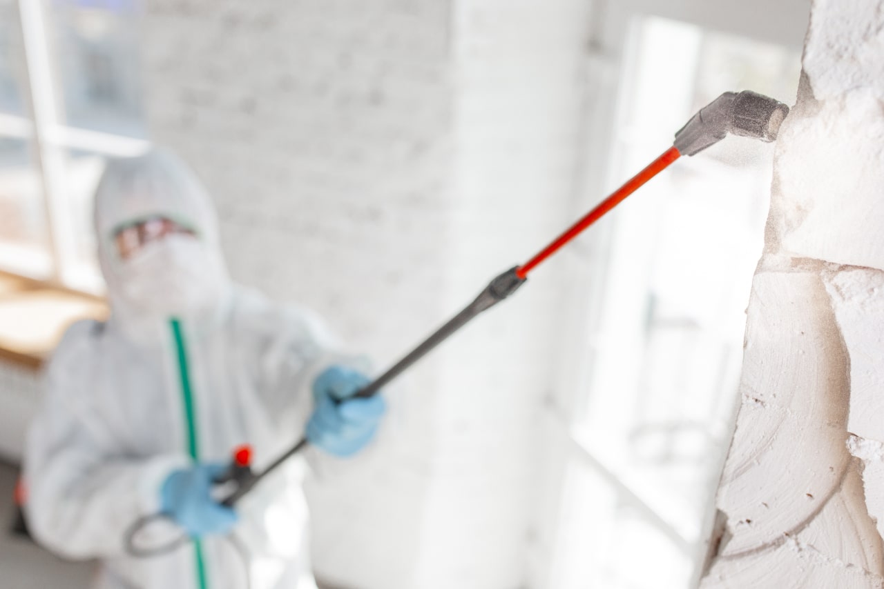 Mould specialist in Singapore cleaning high ceiling mould