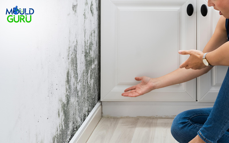 Homeowner gesturing in shock at mould growth
