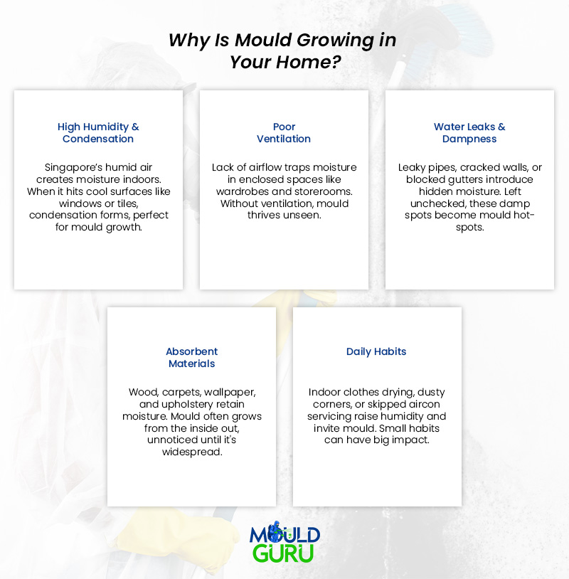 Key causes of mould: humidity, poor airflow, leaks, and habits.