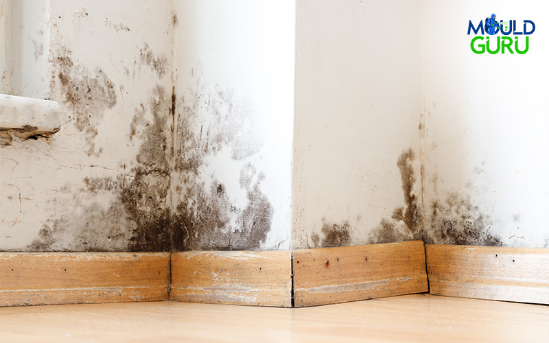 Mould spots in the corner of the room