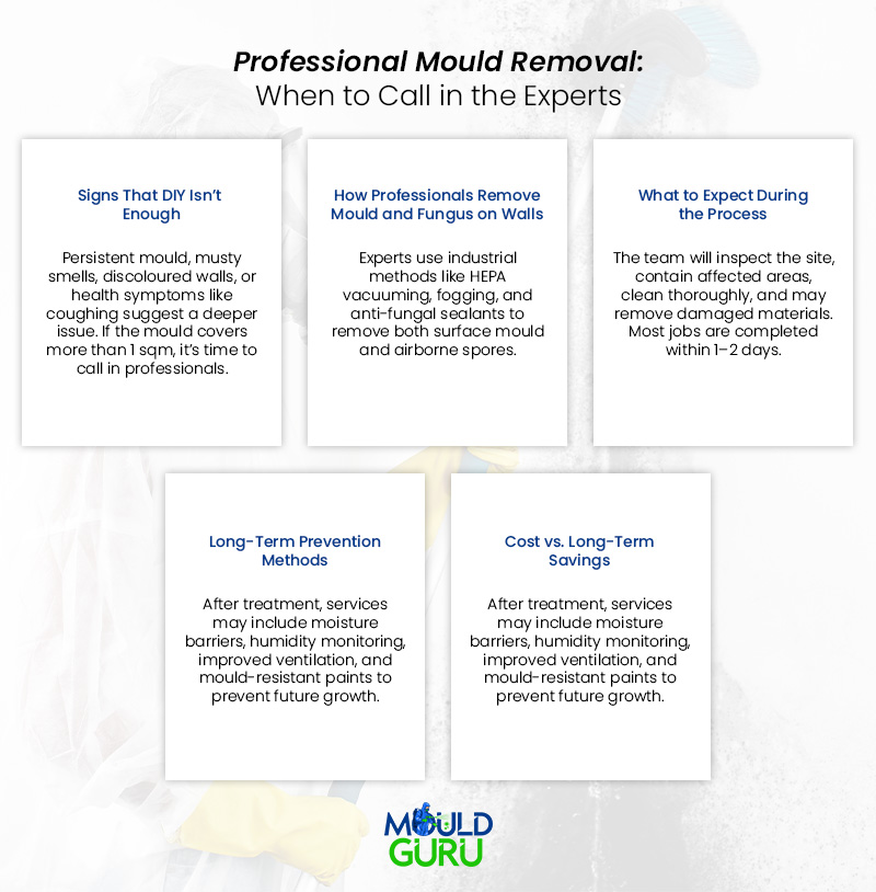 Signs to call in a mould removal expert