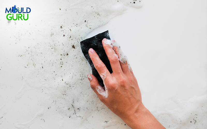 Soap being applied to remove mould
