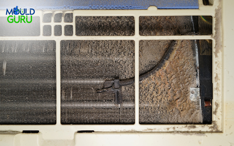 mouldy and dusty air conditioner filter